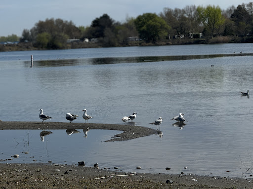 Boardman Marina Playground 20250727 083601 005