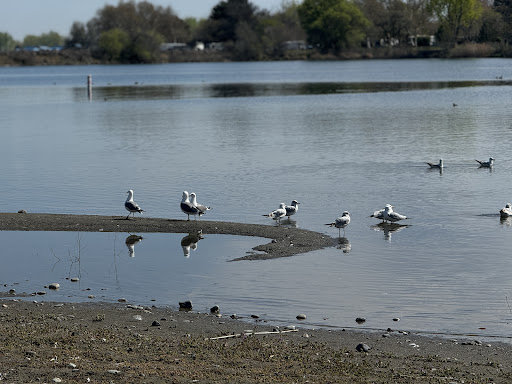 Boardman Marina Playground 20250727 083602 006