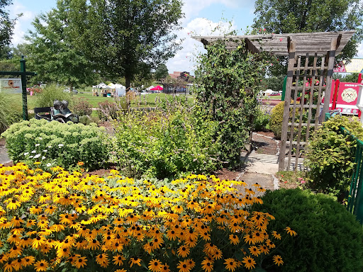 Boundless Playground 20250727 054625 006