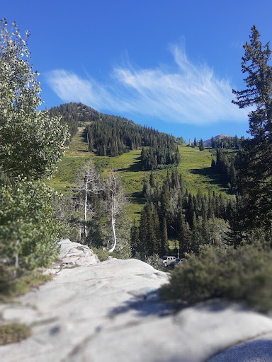 Boundless playground trail 20250727 033309 002