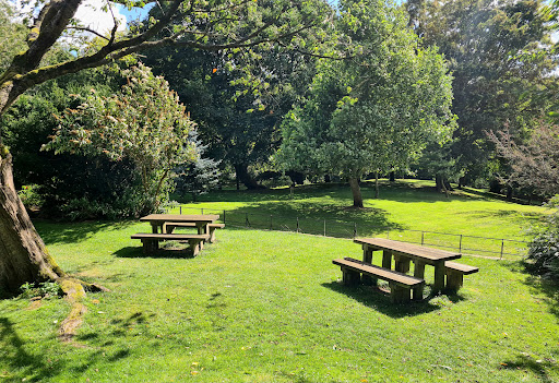 Bowes Museum play area 20250808 154818 002