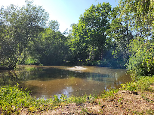 Branbridges Leisure 20250808 192854 011