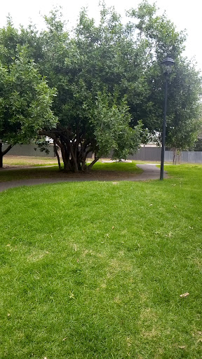 Breakout Creek Reserve Playground 20250824 020133 008