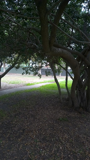 Breakout Creek Reserve Playground 20250824 020136 011
