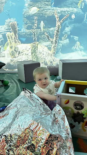 Bridgwater Play Barn 20250808 195756 006