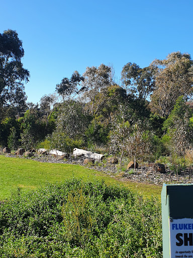Buckingham Reserve Playground 20250824 040138 006