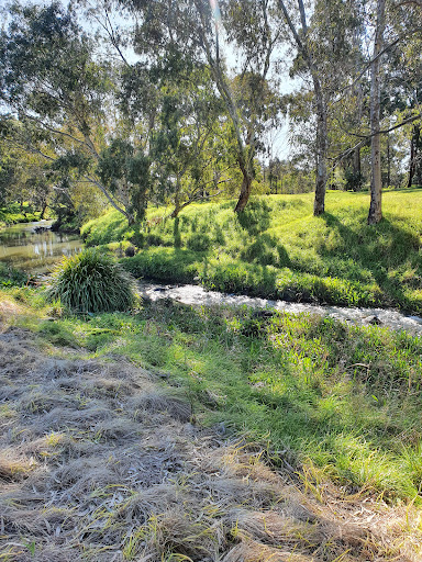 Buckingham Reserve Playground 20250824 040146 016