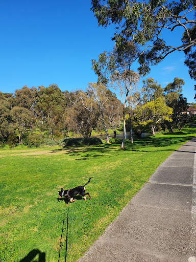 Buckingham Reserve Playground 20250824 040149 019