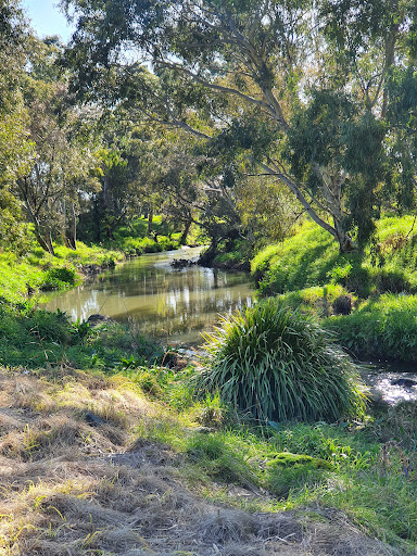 Buckingham Reserve Playground 20250824 040149 020