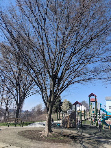 Bud Hammer Playground 20250727 105142 001