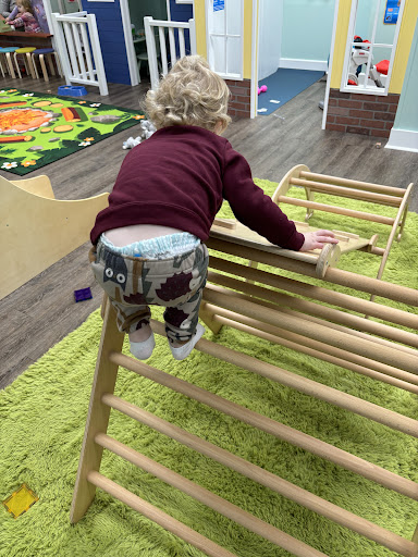 Bug Bear Play Cafe 20250727 030722 015
