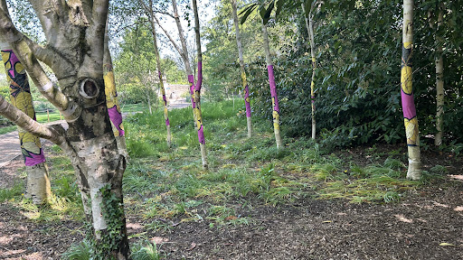 Burghley Gardens Adventure Play 20250808 174034 001