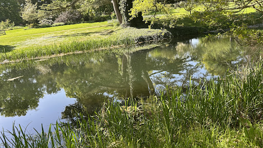 Burghley Gardens Adventure Play 20250808 174036 003