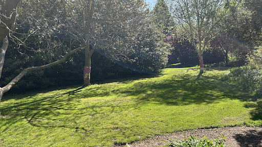 Burghley Gardens Adventure Play 20250808 174038 006