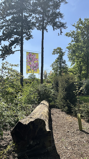 Burghley Gardens Adventure Play 20250808 174039 007