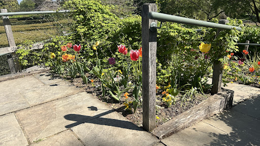 Burghley Gardens Adventure Play 20250808 174040 008