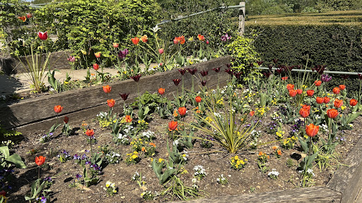 Burghley Gardens Adventure Play 20250808 174041 009