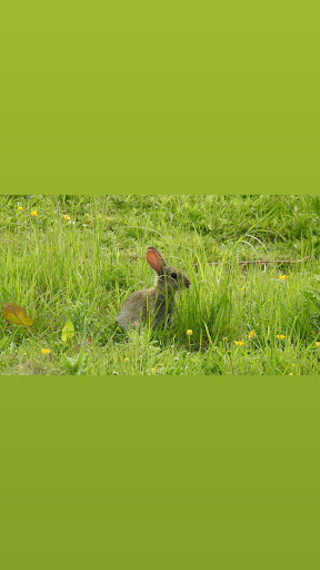Cambuskenneth Play Park 20250808 150506 015