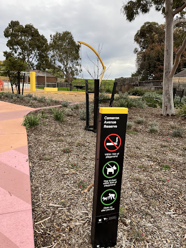 Cameron Avenue Playground 20250824 032839 001