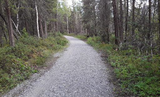 Campbell Creek Park 20250727 094606 002