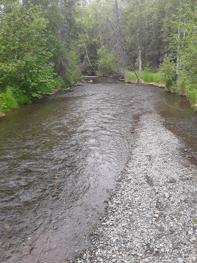 Campbell Creek Park 20250727 094607 003