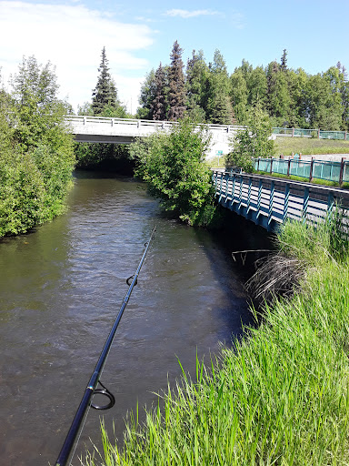 Campbell Creek Park 20250727 094608 004