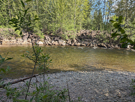 Campbell Creek Park 20250727 094620 018