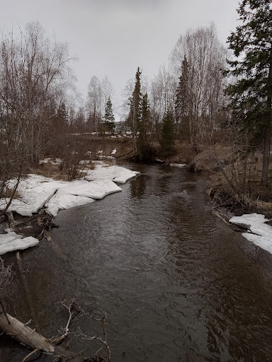 Campbell Creek Park 20250727 094621 019