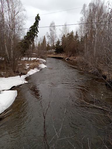 Campbell Creek Park 20250727 094622 020