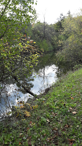 Canal Landing Park 20250727 065307 015