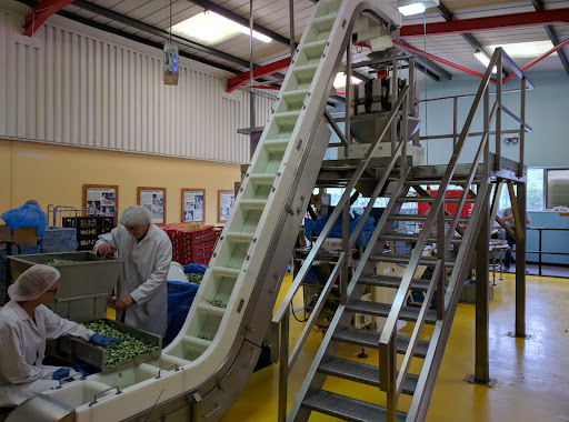 Candy Kingdom 20250808 160307 006