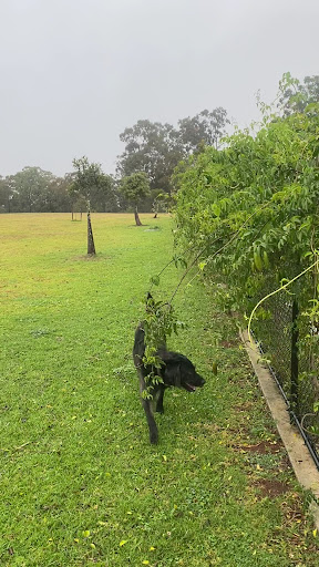 Carly Hibbard Park 20250823 234020 001