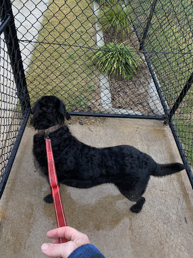 Carly Hibbard Park 20250823 234022 004