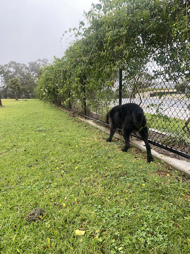 Carly Hibbard Park 20250823 234023 005