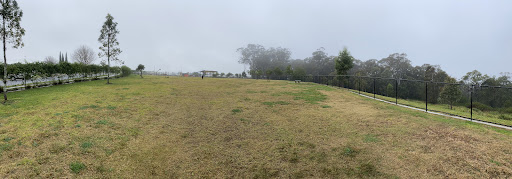 Carly Hibbard Park 20250823 234024 006