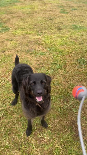 Carly Hibbard Park 20250823 234026 009