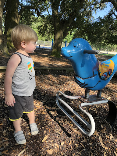 Carlyss Park Sulphur Parks and Recreation 20250726 182516 015