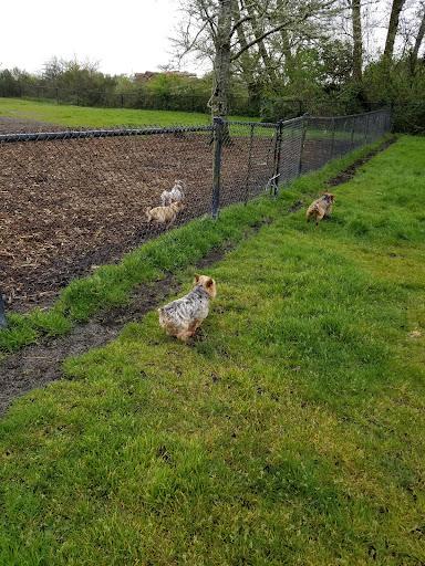 Carruthers Memorial Park 20250727 084721 001