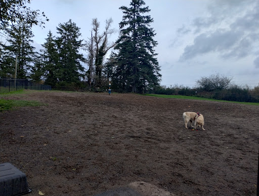 Carruthers Memorial Park 20250727 084722 002