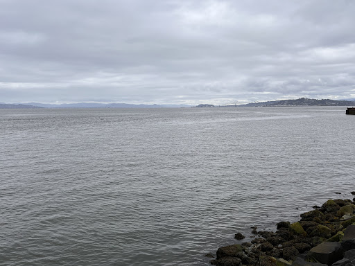 Carruthers Memorial Park 20250727 084724 004