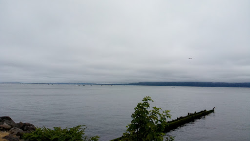 Carruthers Memorial Park 20250727 084725 005