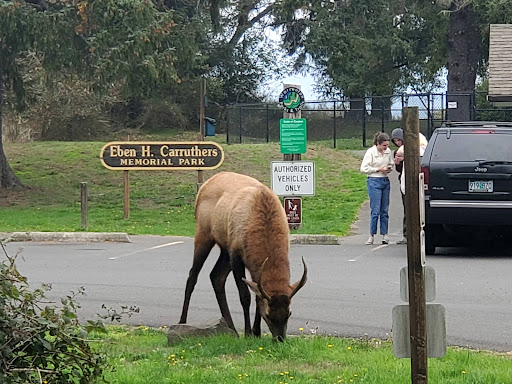 Carruthers Memorial Park 20250727 084726 007