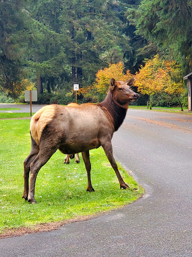 Carruthers Memorial Park 20250727 084727 008