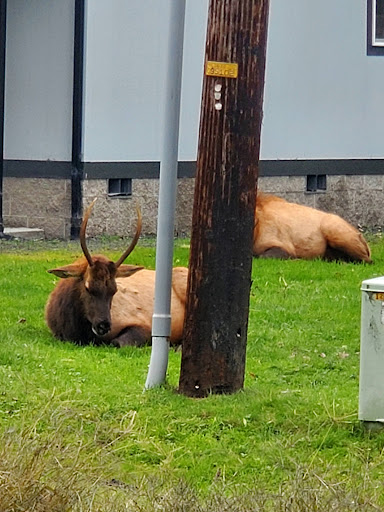 Carruthers Memorial Park 20250727 084728 009