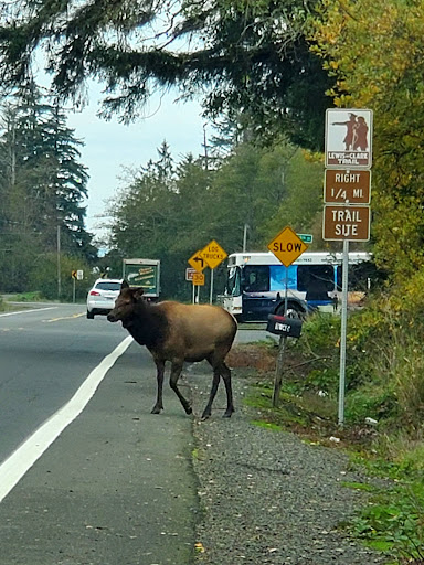 Carruthers Memorial Park 20250727 084730 012