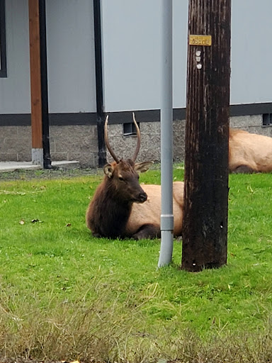 Carruthers Memorial Park 20250727 084731 013