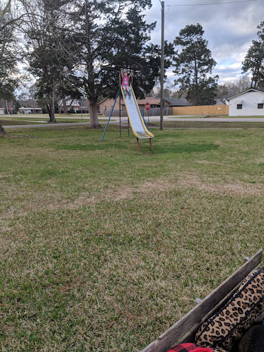 Cedar Street Park 20250726 184803 004