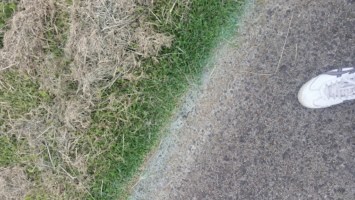 Central Parkway Playground 20250824 011703 001