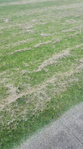 Central Parkway Playground 20250824 011704 002