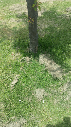 Central Parkway Playground 20250824 011706 004